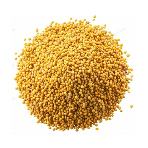 Mustard Seeds 1